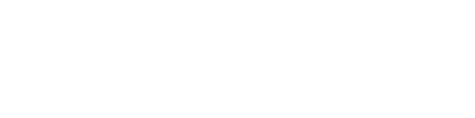 Bonddin Logo